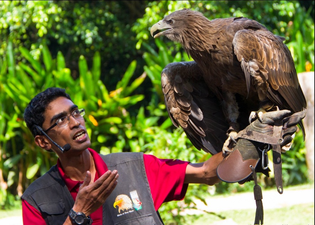 Tham quan vườn chim lớn nhất Ch&acirc;u &Aacute;